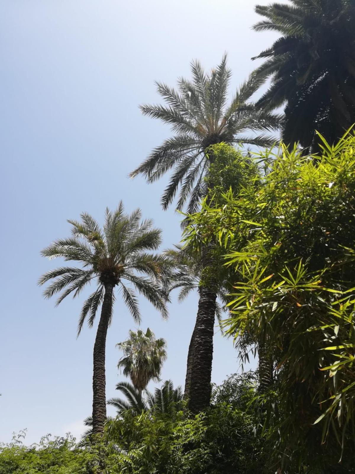 Riad Lalla Aicha-Qariya Siyahia Marrakech Marrakesh Exterior foto